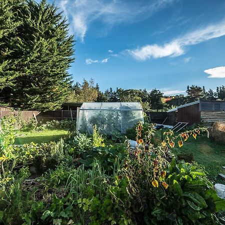 Mount Thomas Road B&B Rangiora Exterior photo