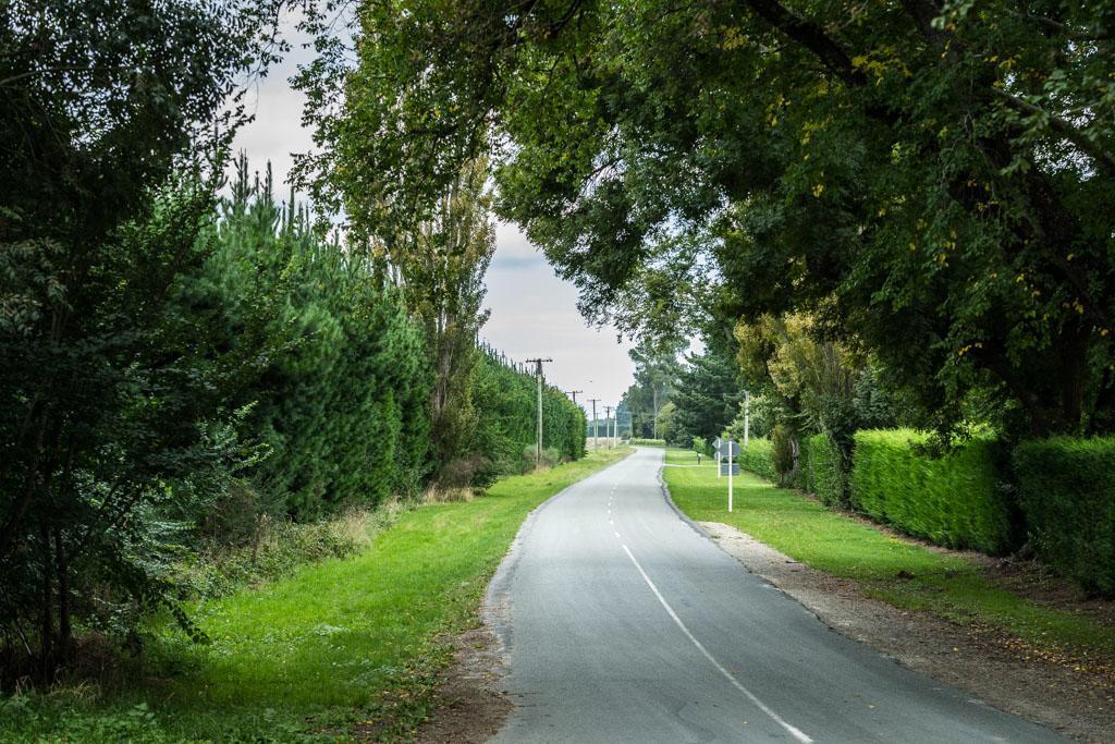 Mount Thomas Road B&B Rangiora Exterior photo